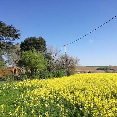 شقة Tiny House - Dans La Campagne Lauragaise